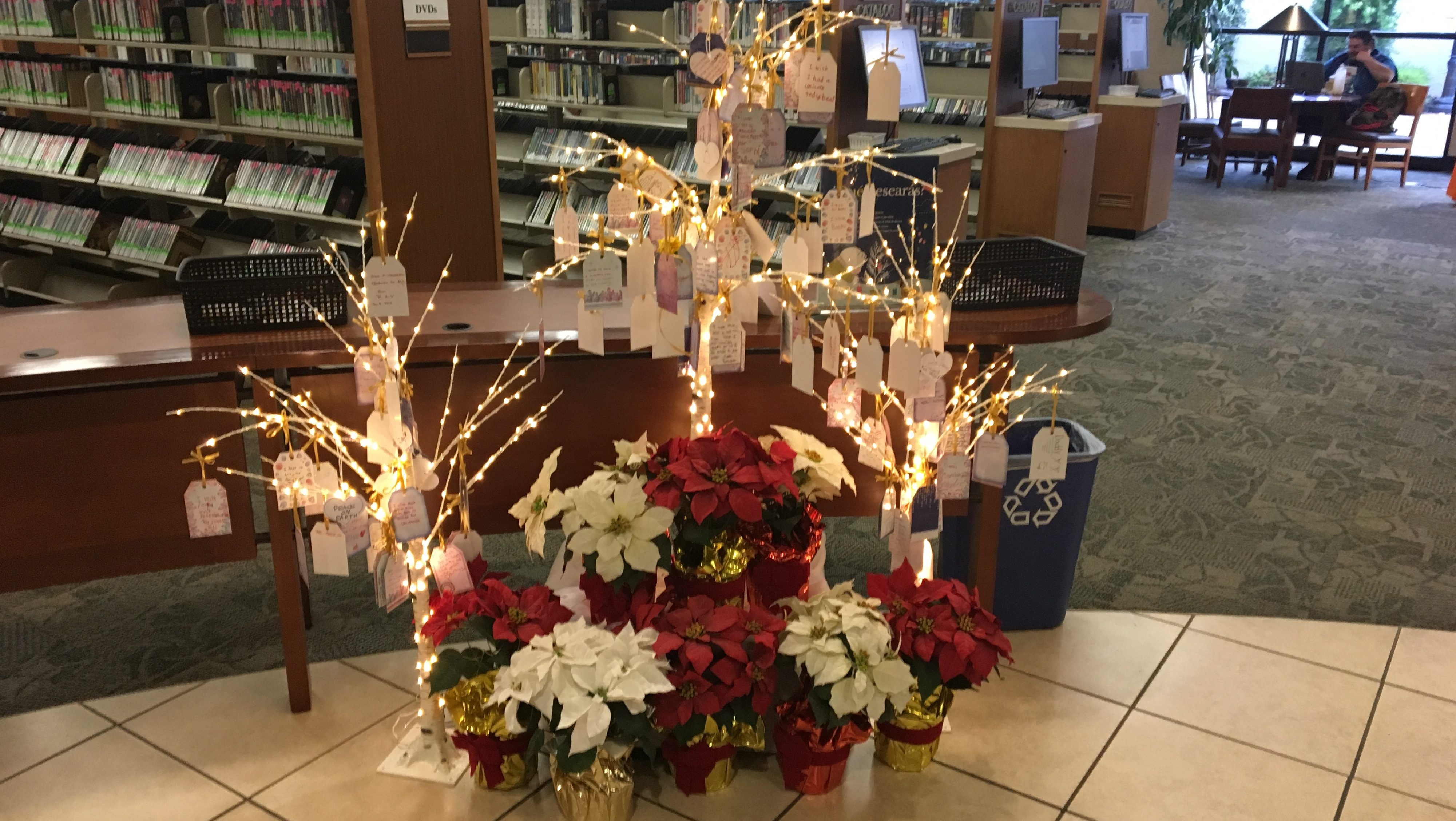 Santa Maria library wishing tree