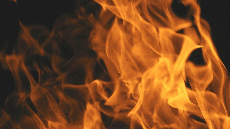 Prescribed burning to begin Tuesday at Hearst San Simeon State Park