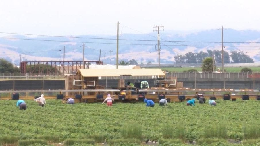 More temporary farmworkers coming to the Central Coast. But where should they live?