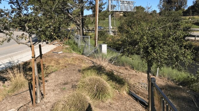 The scene of an early-morning crash Wednesday on El Camino Real. (KSBY photo)