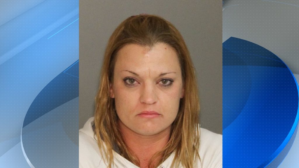 Sheriff: Woman spotted going through donated items behind Goodwill arrested